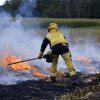 Gemeinsame Ausbildung Vegetationsbrand-Bekämpfung